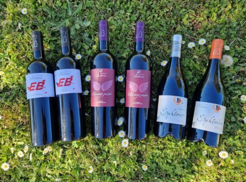 Château Balsamine - Lot Rouge – AOP Gaillac – Château Balsamine – 4 Cuvées (6 bouteilles)