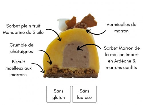 Eclat des cimes - Bûche glacée Marron & Mandarine