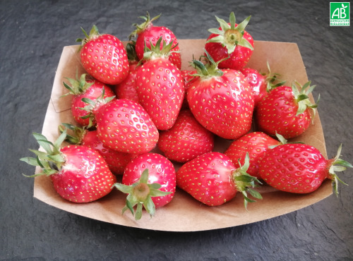 Ferme de Carcouet - Fraise Bio - 1 kg