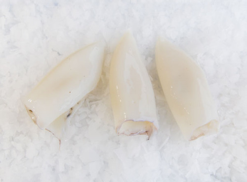 Godaille de l'Armement Cherbourgeois - En Direct du Bateau - Blanc De Seiche – Lot de 1kg