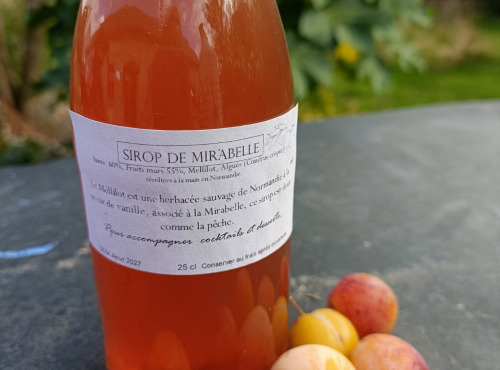 Rébecca les Jolies Fleurs - Sirop de Mirabelle & Algues