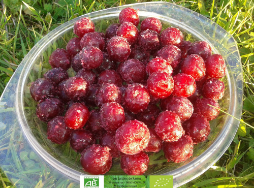 LES JARDINS DE KARINE - Cerise griotte avec noyaux surgelée - 500g