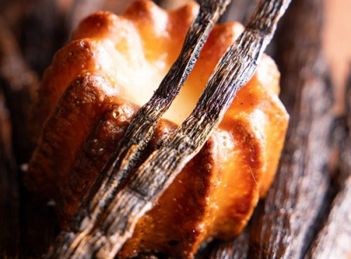 Canelés Louis SCHRAMM - Petits canelés Vanille x1200