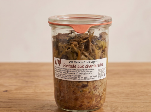 Des Poules et des Vignes à Bourgueil - Pintade  Aux Chanterelles