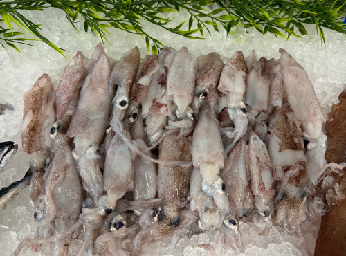 Ocean Frais - Encornet Chipiron nettoyé - lot de 1kilo