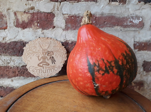 Ferme de Cernunnos - Potimarron