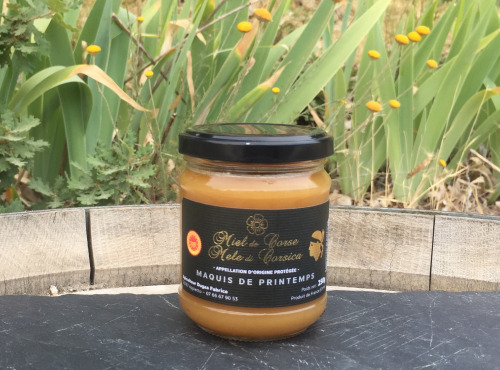 Depuis des Lustres - Comptoir Corse - Miel de Corse AOP Maquis de Printemps - 250 g