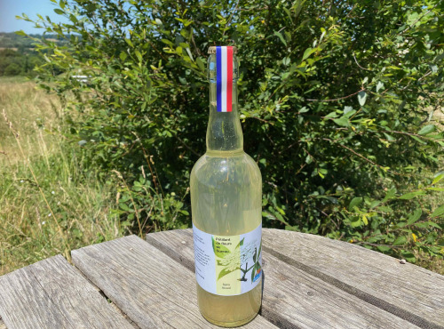 Ferme Sinsac - Lot de 6 pétillants aux fleurs de sureau sans alcool