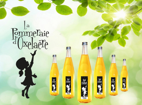 La Pommeraie d'Oxelaëre - Jus Val De Cassel 6 X 75 Cl