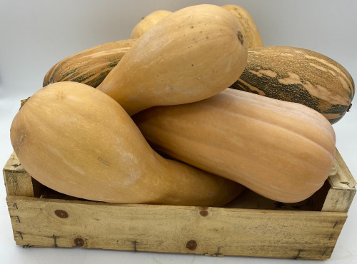 Le Panier du Producteur - Courge de Nice - 1kg