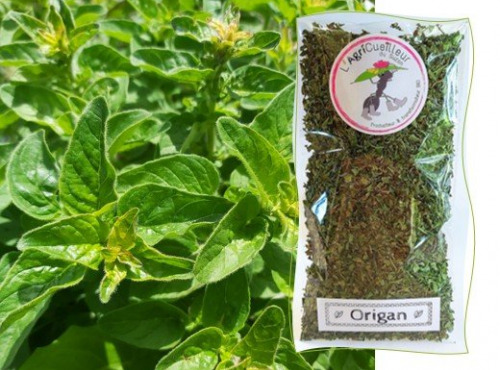 L'Agricueilleur du Suzon - Origan Bio