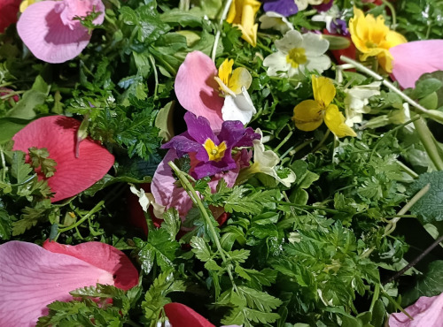 Rébecca les Jolies Fleurs - La salade Royale de mon pépé