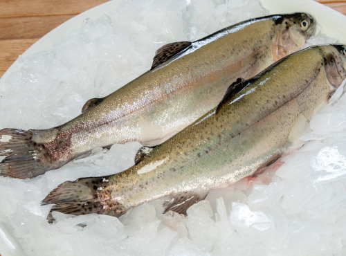 Pisciculture des eaux de l'Inval - 2 Truites Arc En Ciel Vidées Sous Vide mini 450 gr