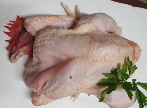 Ferme de la Paumerais - [Précommande] POULE BRETONNE - 2 Kg (x1)