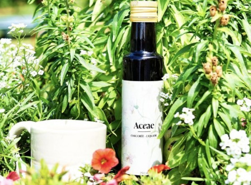 Chicorée Aceae - Chicorée Aceae Bio - Liquide 250 ml