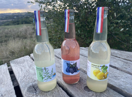 Ferme Sinsac - petillant de Mirabelles sans alcool 75 cl