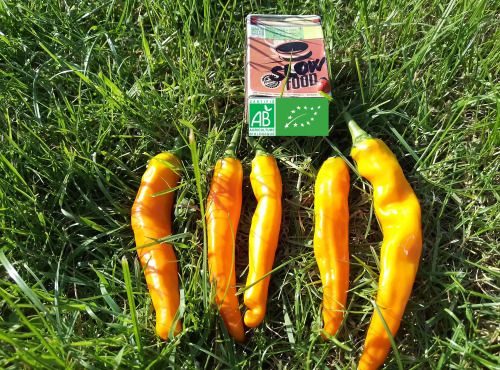 LES JARDINS DE KARINE - Poivron orange pimenté - 100g