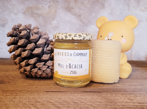 Les Butineuses de Champigny - Miel d'acacia - 250g