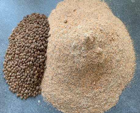 Adal Terra - Farine De Lentillons Bio - 10kg