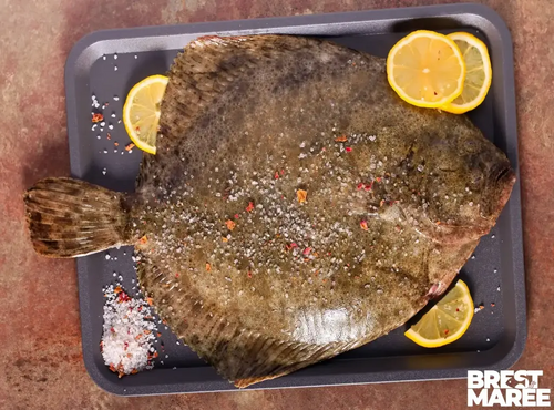 Brest Marée - Barbue - 1kg