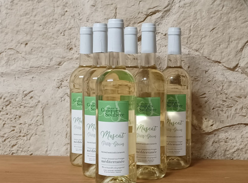 Domaine Les Conques Soulière - MUSC 6x75 Muscat Petits Grains