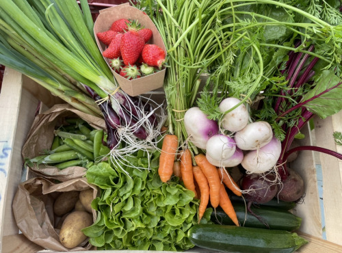 Le Potager de Sainte-Hélène - Panier de légumes bio de saison - 3,5kg