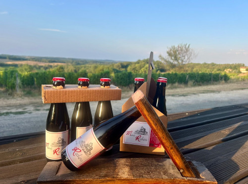 Château des Rochers - MINI ROCHERS x6