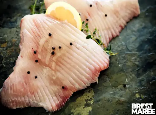 Brest Marée - Aile de Raie - 500g