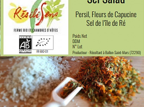 Résilisens - Sel'Salad