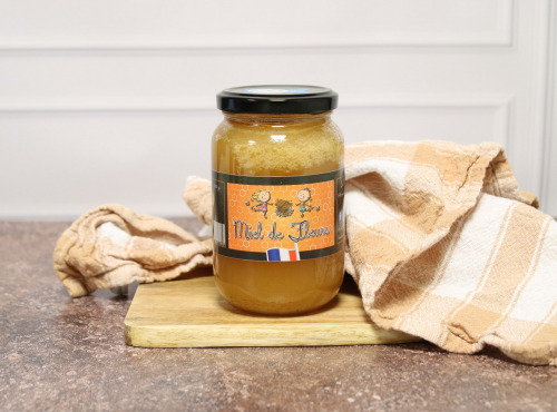Fromage Gourmet - Miel de Fleurs 500g