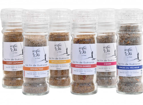 Artisans du Sel - Sélection Moulins Sels Aromatisés – 6 Recettes épices Artisans du Sel (80g x6)
