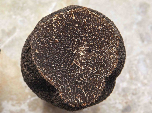 Plantin - L'art de la truffe depuis 1930 - Morceaux de truffe noire 500g