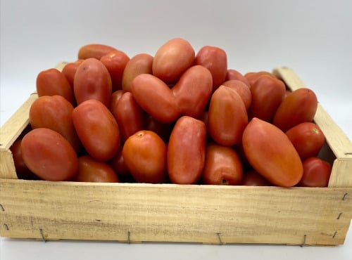 Le Panier du Producteur - Tomate "Roma" - 1 Kg