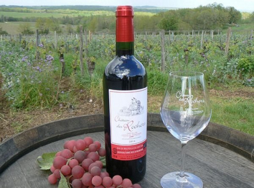 Château des Rochers - Vin rouge AOC Castillon-Côtes de Bordeaux 2014