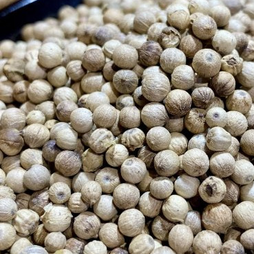 L'OLIVERAIE DU COUDON - Poivre Blanc en Grains – Pot 107 g