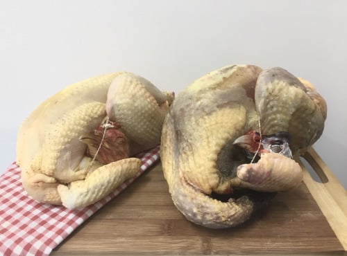 Ferme de Calès - Lot D'un Poulet De 1.9kg Et D'une Pintade De 1.8kg