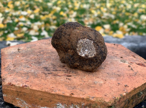 Berry 3 Sens - Truffe noire du Berry Tuber Mélanosporum 35 g