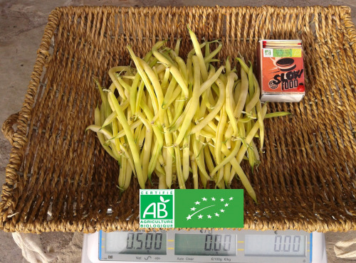 LES JARDINS DE KARINE - Haricot beurre - 1kg