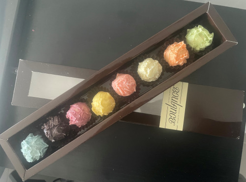 Maison Boulanger - réglette de 8 chardons assortis