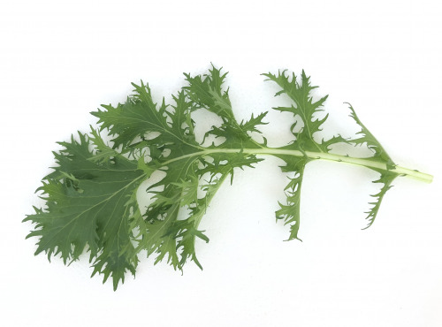 Agriloops - Mizuna - sachet 150 g
