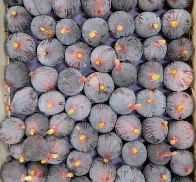 L’Oliveraie du Coudon - FIGUES PLATEAU 3kg