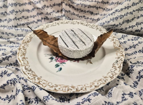 La Fermière - Fromage de chèvre Chabriotte cendrée