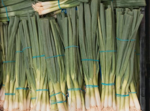 Les Herbes du Roussillon - Poireaux-producteur-500g