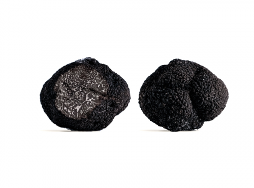 Domaine de Vielcroze - [Précommande] Truffe Noires Fraiches Entières Du Périgord Tuber Mélanosporum - 1ère Catégorie