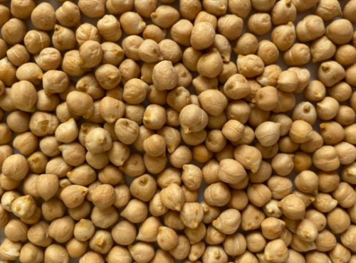 BERRY GRAINES - Pois chiches BIO origine France - 500g