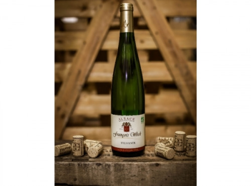 Domaine François WECK et fils - FOIRE AUX VINS : Sylvaner 2023 - 75cl x6