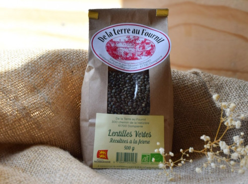 Dégustonfoin - Lentilles Vertes BIO - 500g