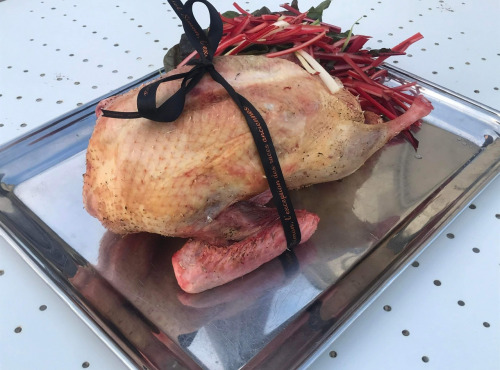 Des Poules et des Vignes à Bourgueil - Canette tourangelle  au sang