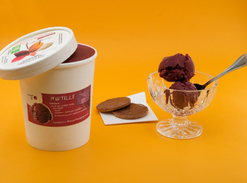 Le Jardinier Glacier - 1 Litre Sorbet Myrtille