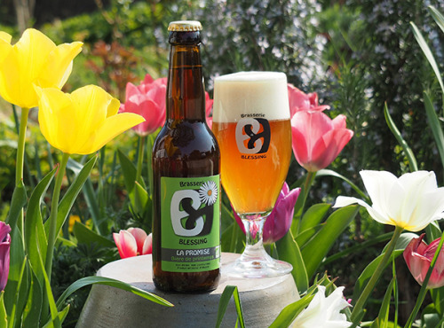 Brasserie Blessing - LA PROMISE, bière de Printemps de fermentation haute – 12x33cl